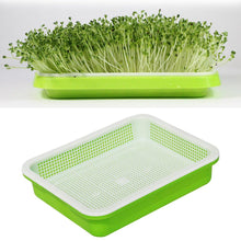 Load image into Gallery viewer, Bean Sprouts Double-layer Dishes Plate Seedling Tray Plastic Hydroponic Flower Basket Flower Plant Home Garden Nursery Pots
