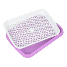Load image into Gallery viewer, Bean Sprouts Double-layer Dishes Plate Seedling Tray Plastic Hydroponic Flower Basket Flower Plant Home Garden Nursery Pots
