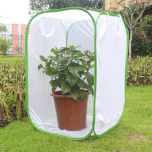 Load image into Gallery viewer, New Insect Breeding Cages Net Cloth Butterfly Mantis Stick Praying Cylindrical Pop-up Cage Seedling Incubator Light Transmission
